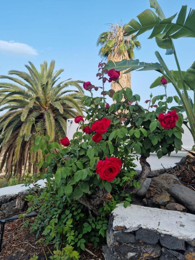 فيلا Rural Jardines La Quinta إل باسو المظهر الخارجي الصورة