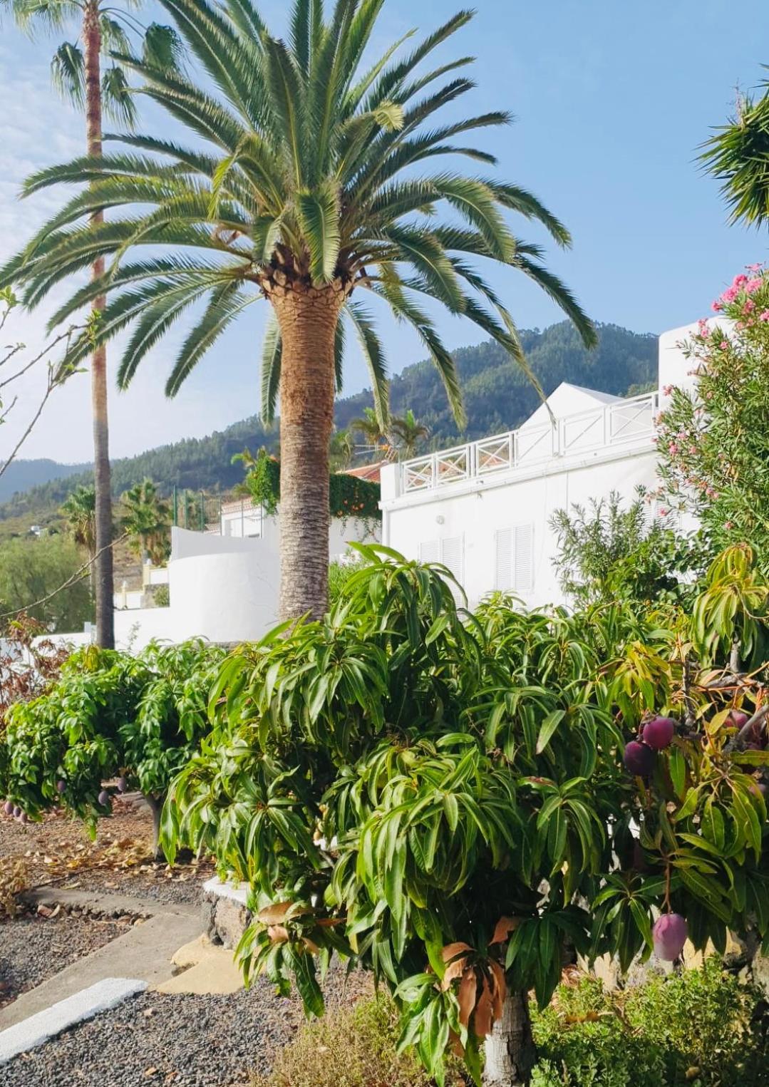 فيلا Rural Jardines La Quinta إل باسو المظهر الخارجي الصورة