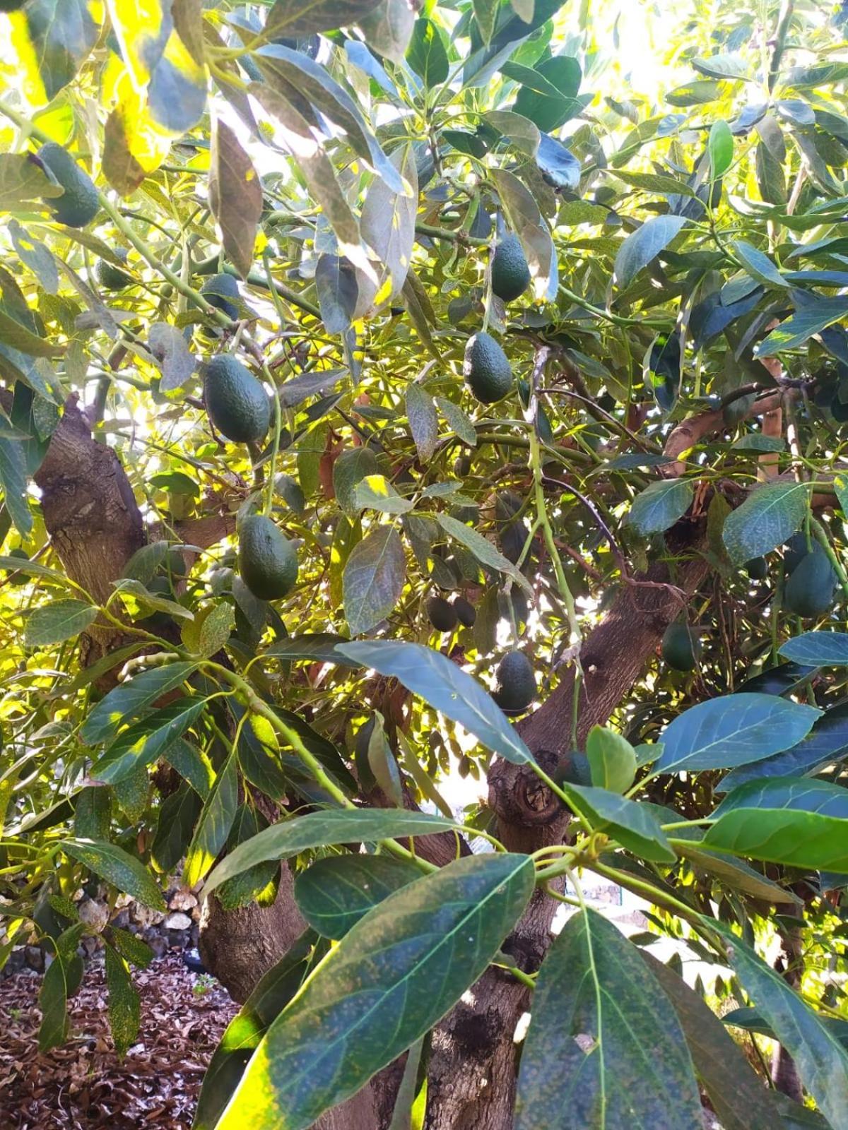 فيلا Rural Jardines La Quinta إل باسو المظهر الخارجي الصورة